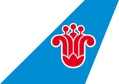 中國南方航空