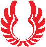 Wings Air